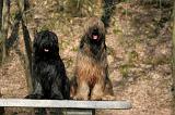BRIARD 035